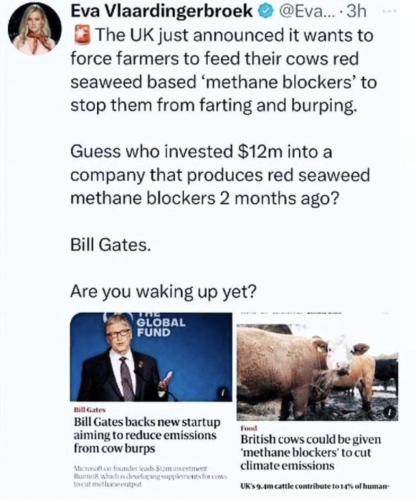 photo_2023-05-18_21-39-49