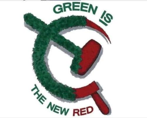 FB_IMG_1682283543926