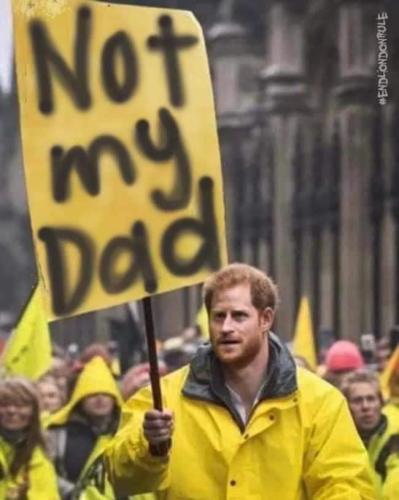 FB_IMG_1683519505161