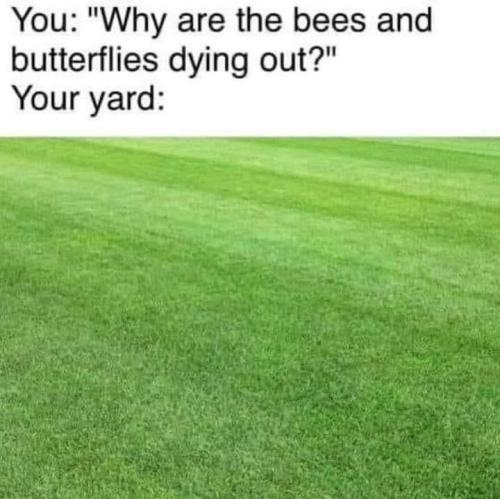 FB_IMG_1683327906708
