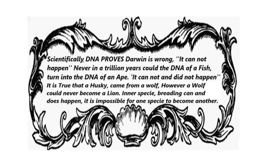 darwin is wrong