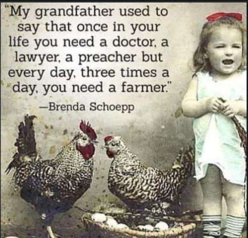 Screenshot_20230501_223550_Chrome