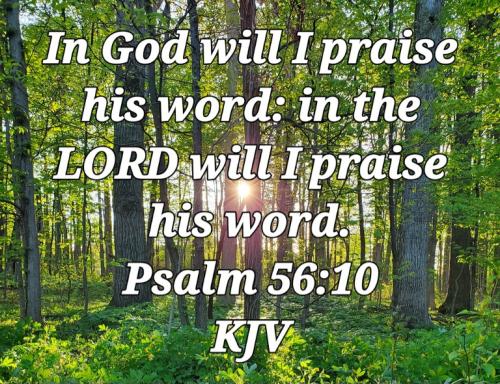 01:26:54 GMT-0700 (PDT)