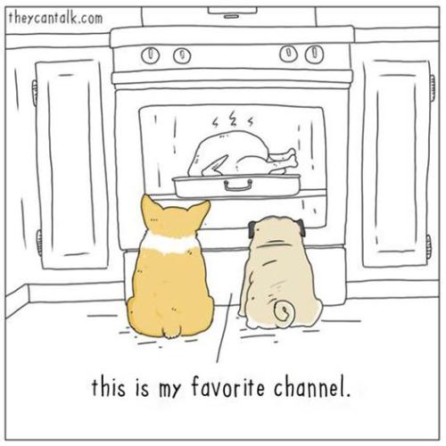 343768321_546457744349939_6658229707740672505_n