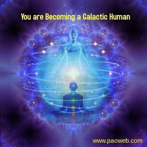 60152419_415129479065