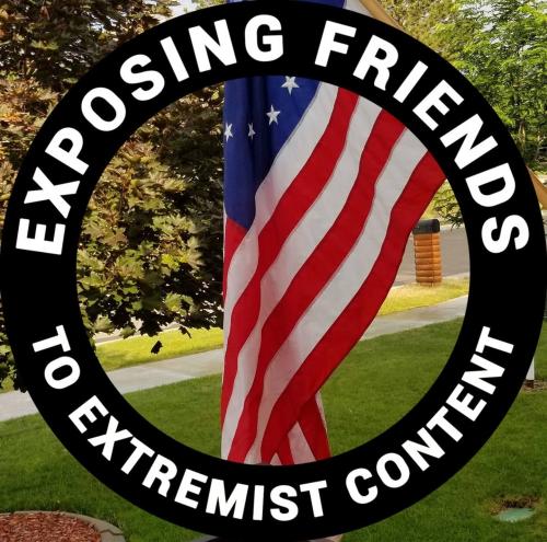 Exposing friends to extremist content