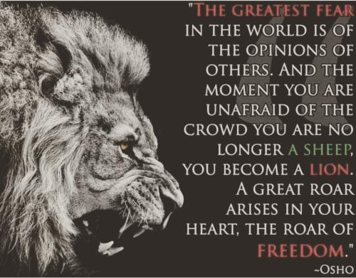 IMG_20230516_050535_562