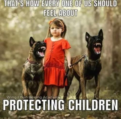 FB_IMG_1683475268881