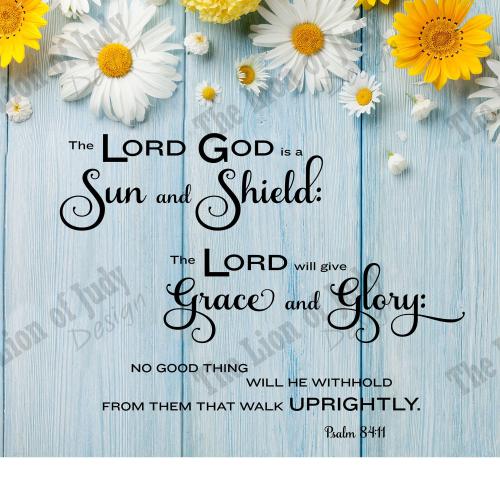 il_fullxfull.3854416234_djcy