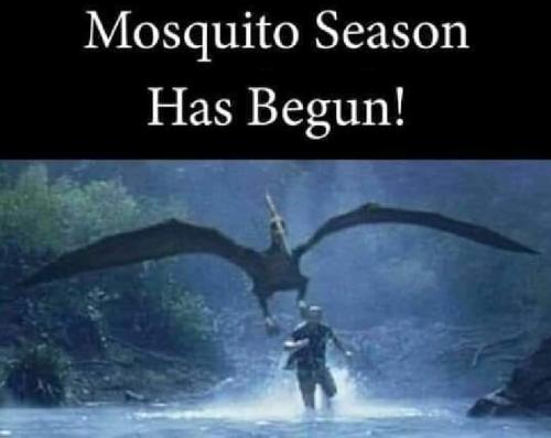 FB_IMG_1685566526784