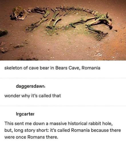 1685397462.093378