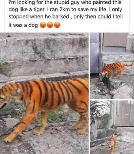 FB_IMG_1683214808758