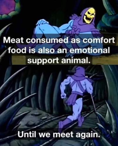 FB_IMG_1685040797523