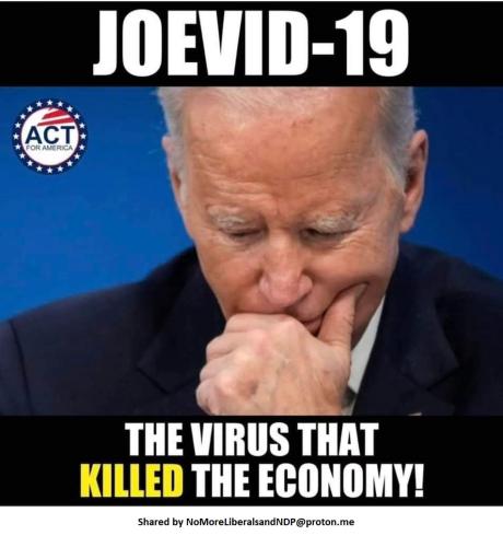 joevid 19