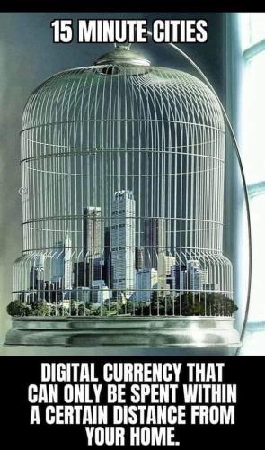 IMG_20230511_204818_073