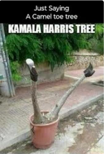 214ecf3d-136c-4f78-8fd7-008bf966c8a2