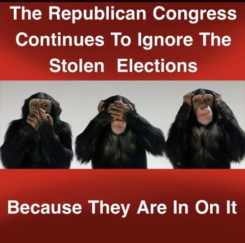 Election 2