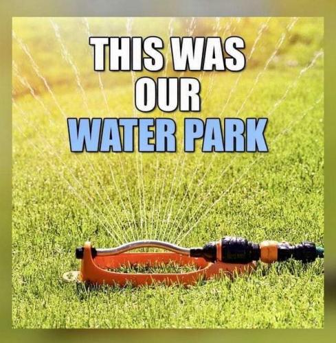 FB_IMG_1684589567981