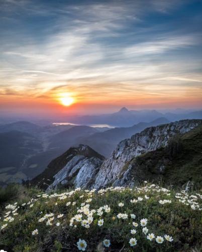 Screenshot_20230517_082754_Google