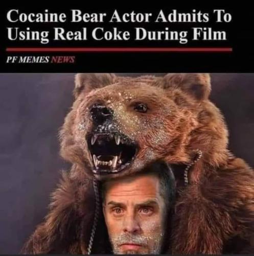 344766369_534736998873967_8061294955353729428_n