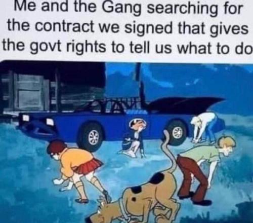 1684031838956