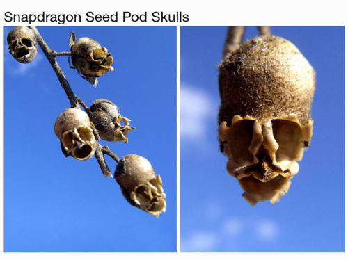 Screenshot_2023-05-27-18-48-28_kindlephoto-1060450649