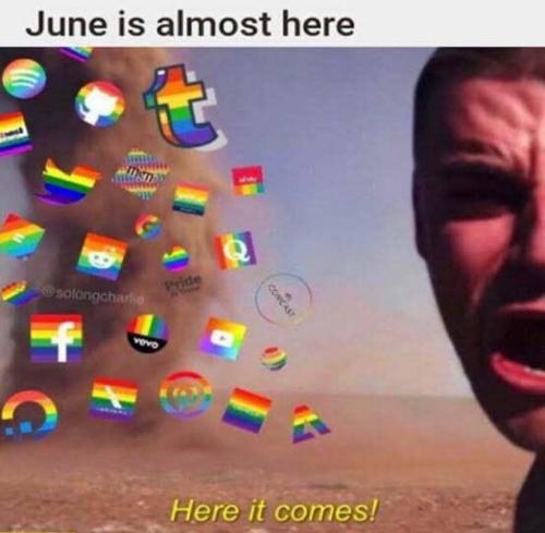 Pride 1