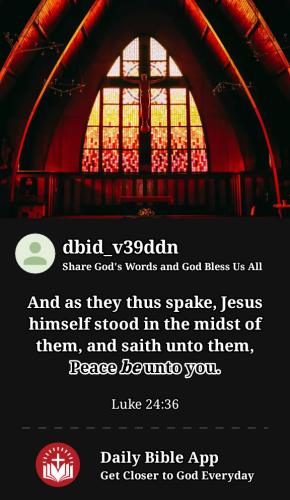 2023-05-091683686231344