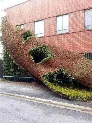 wall falling down