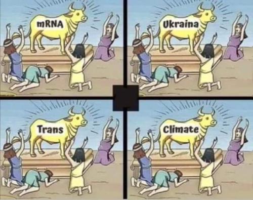 FB_IMG_1685330288894