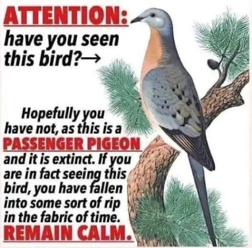 1684786316.218577