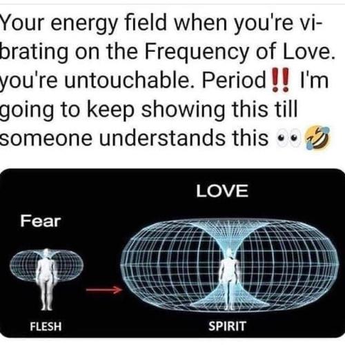 345329786_17511367522