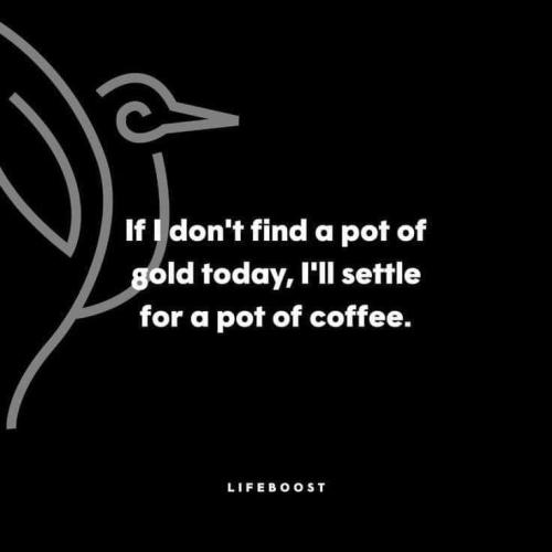 FB_IMG_1684589131474