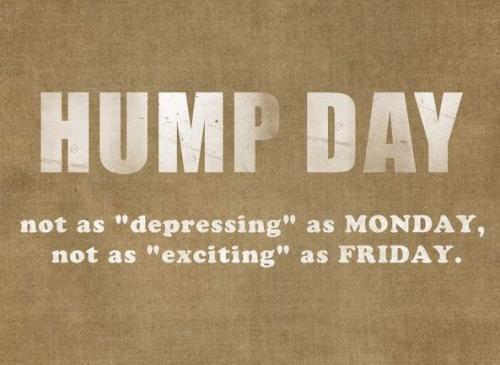 1-Hump Day
