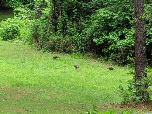 62e91cea-cc8f-45b1-b738-bc08e739fda6