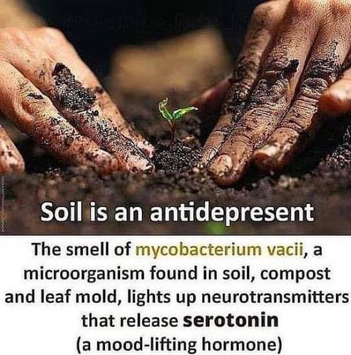 photo_2023-05-10_23-40-38