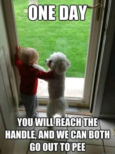 343914912_788255035803308_3710520453636525868_n