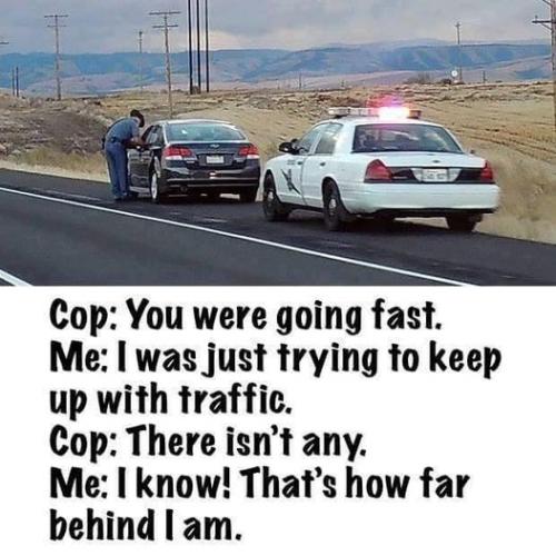 347226961_1294925601463070_7866503710201172329_n