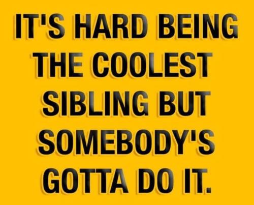 346641923_1205989740111530_6526784084463330869_n