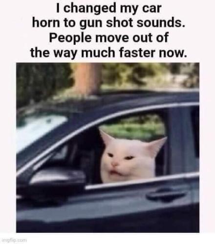 FB_IMG_1684261368109