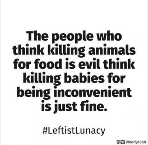 Screenshot_20230511_014312_Quora