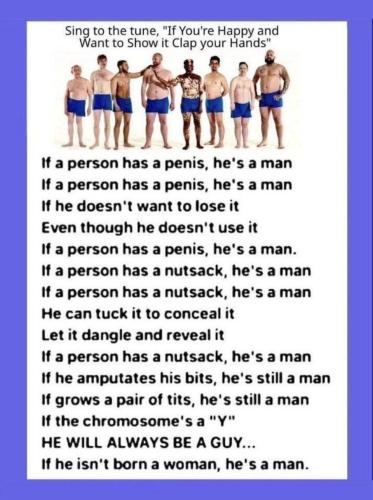 Penis song with lyrics