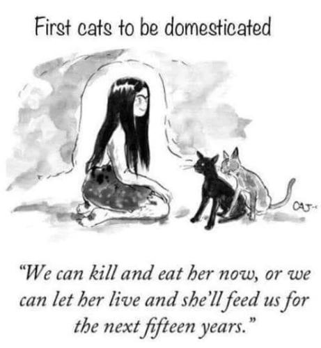 346971719_914981252949617_8274089932501445823_n