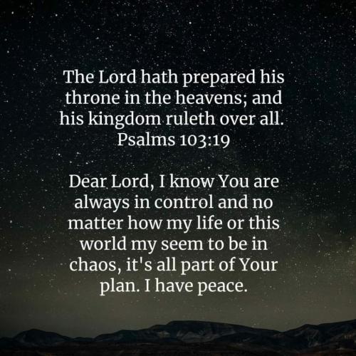 513253b2-534b-4ef5-b1fe-9ed0987ec9e5