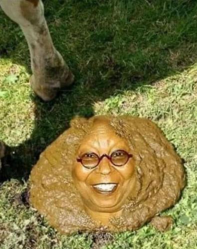 whoopi17