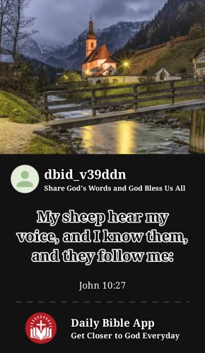 2023-05-161684277248512