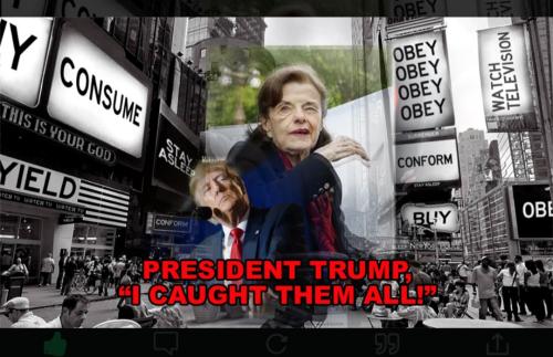 Screenshot_20230512_131217_Chrome