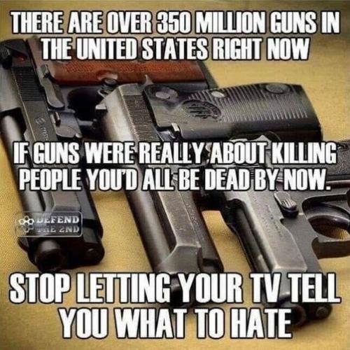 Guns 1