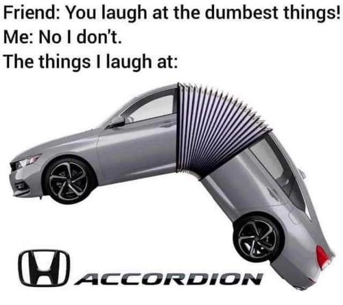 accordion
