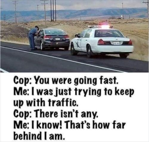 344085695_3392411740999631_3317260690423328077_n